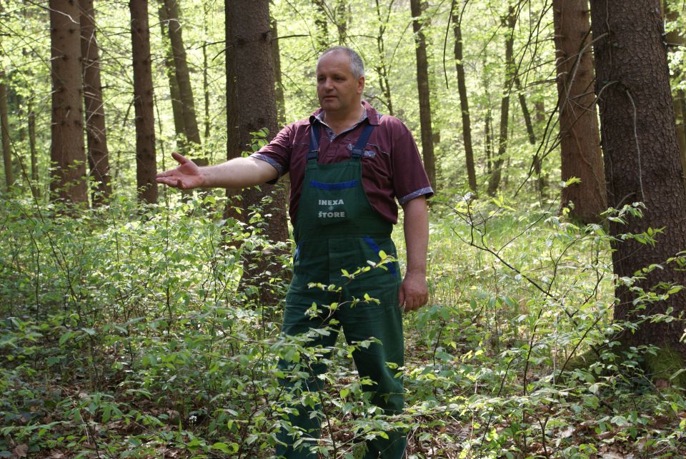 Postavitev mlaja - foto povečava