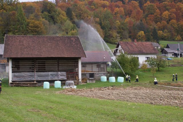 Vaja članov 2010 - foto