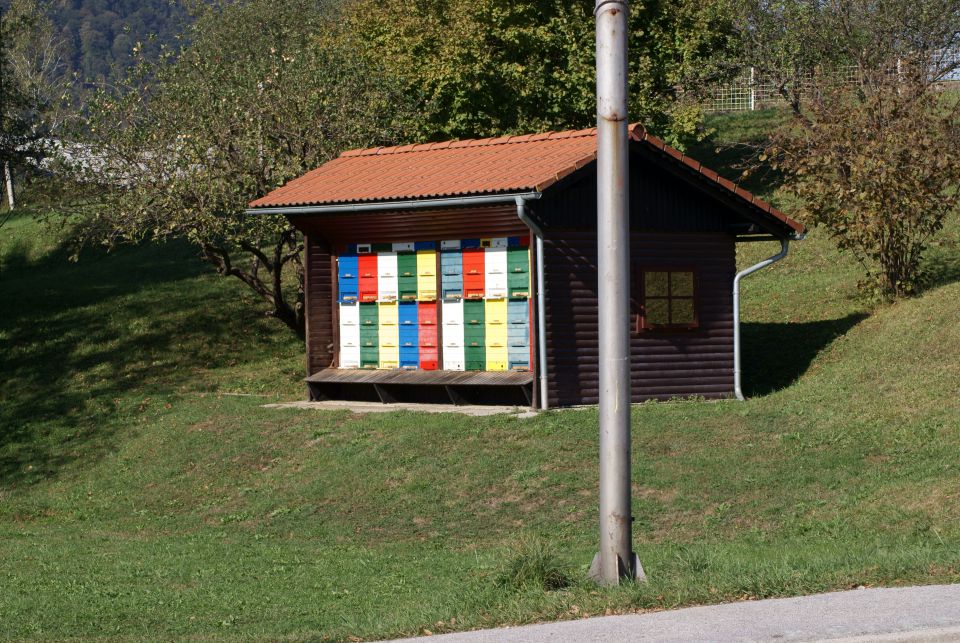 Regijsko tekmovanje 2011 - foto povečava