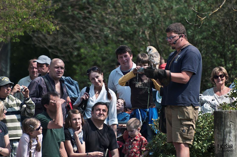 ZOO Munchen - foto povečava