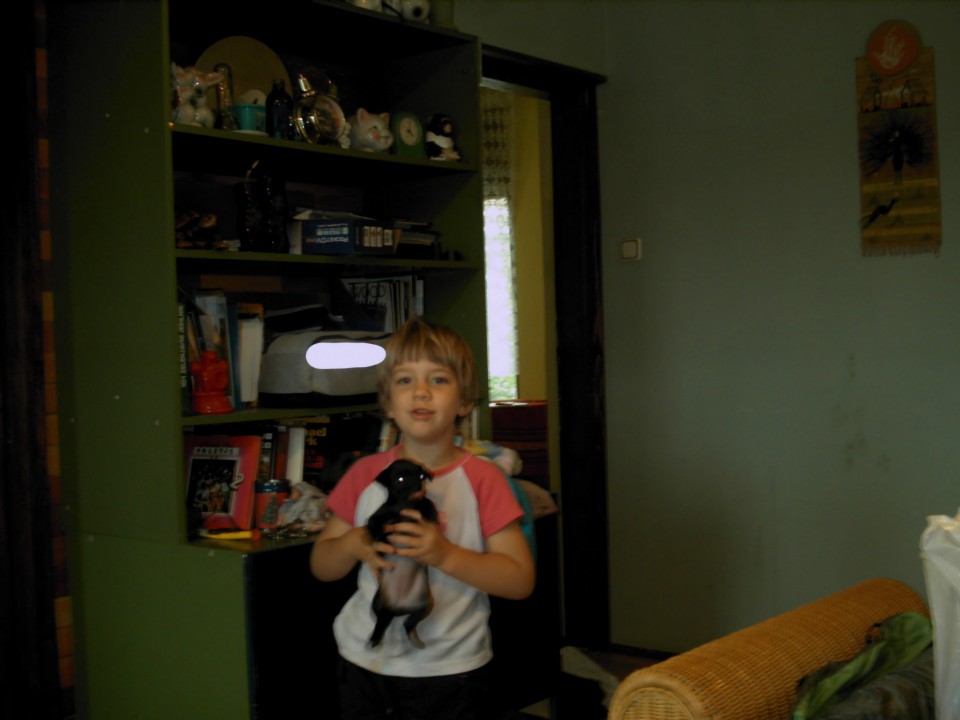 ime mi je lucija in sem stara 6let in pol.
tukaj vam bom prestavlja nekaj slik kaj ustvar