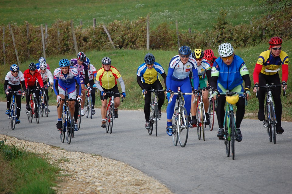 8. Kolesarski Maraton Občine Puconci 2008 - foto povečava