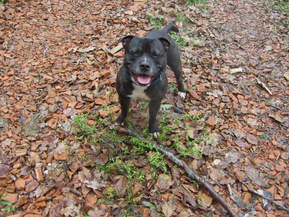 smile for camera ;)