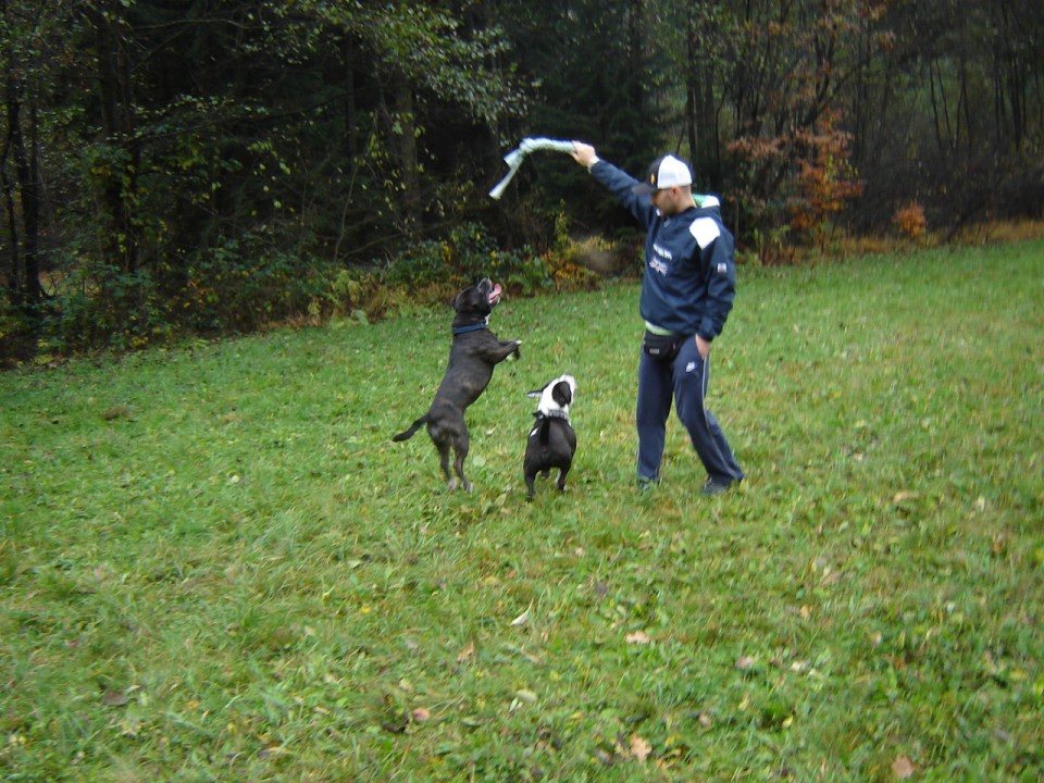 James - sbt - foto povečava