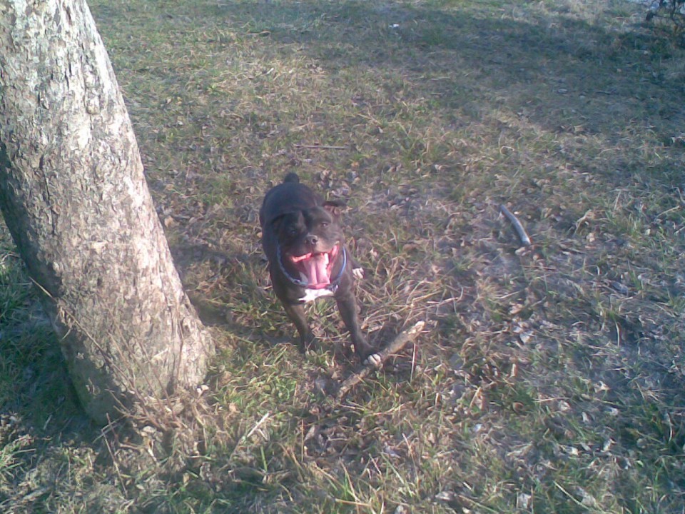 James - sbt - foto povečava