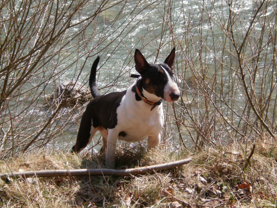 James - sbt - foto povečava