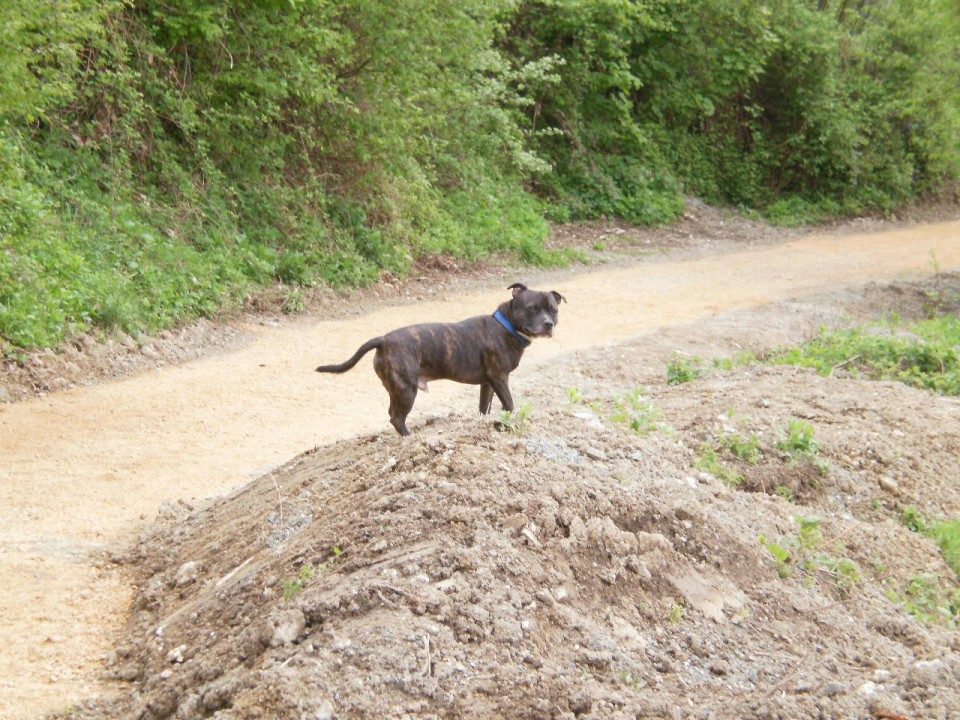 James - sbt - foto povečava