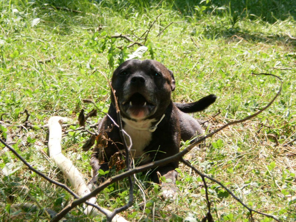 James - sbt - foto povečava