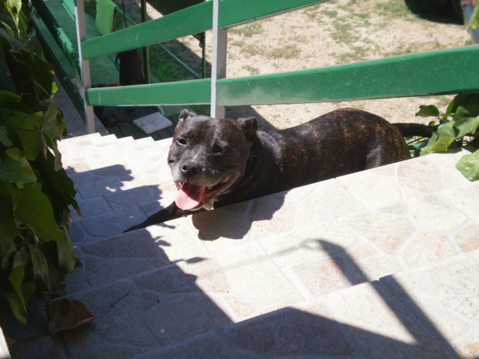 James - sbt - foto povečava