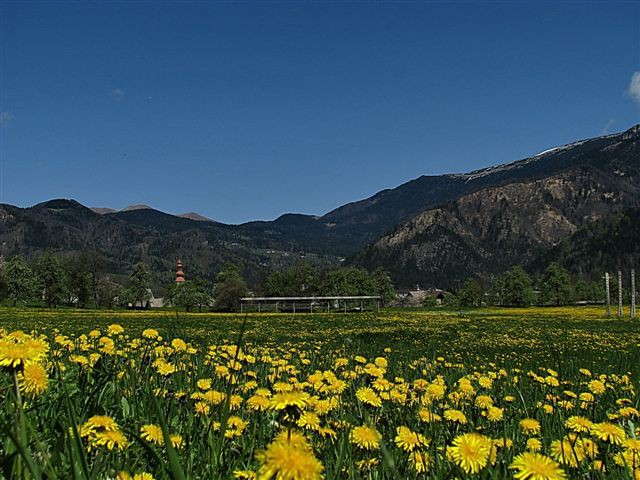 Blejski vintgar+Pokljuška soteska - foto