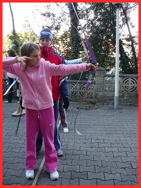 Steva - foto