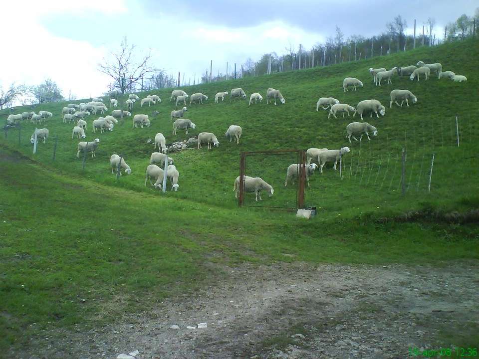 Okolica - foto povečava