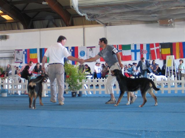 CACIB Portorož 2008 - foto povečava