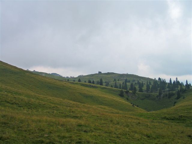 Velika planina 30.07.2008 - foto povečava