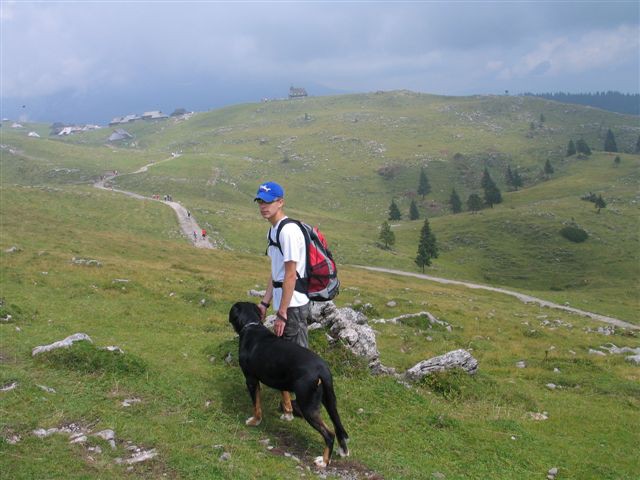 Velika planina 30.07.2008 - foto povečava