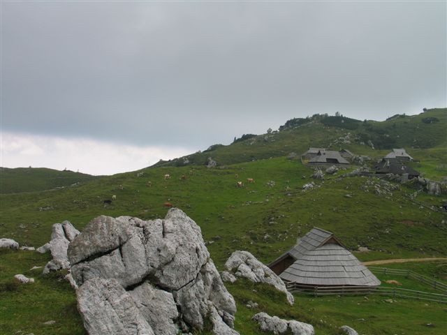 Velika planina 30.07.2008 - foto povečava