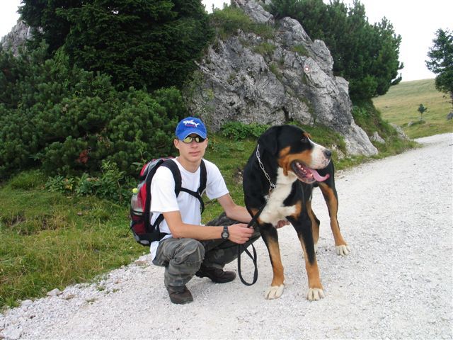 Velika planina 30.07.2008 - foto povečava