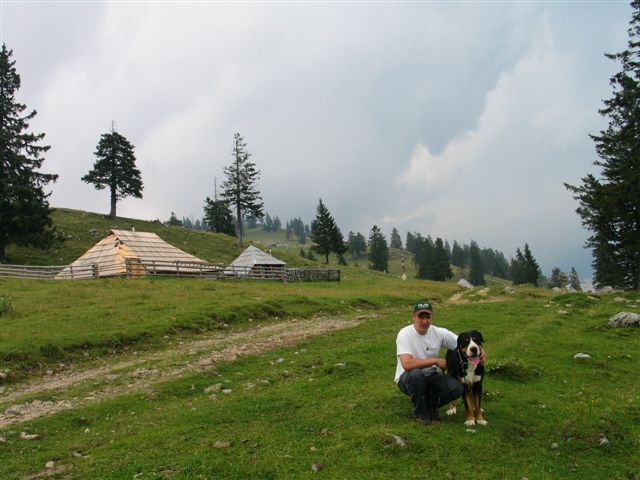 Velika planina 30.07.2008 - foto povečava