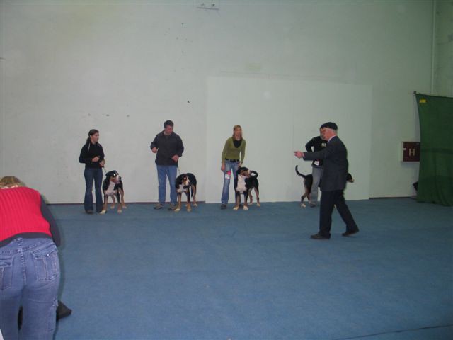 Vrtojba 20.11.2005 - foto