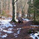 decemberski izlet