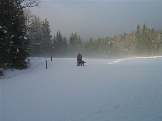 Prvi zimski dnevi 2007 - foto