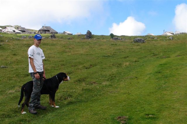 Velika planina 25.07.2007 - foto povečava