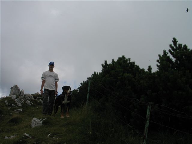 Velika planina 25.07.2007 - foto