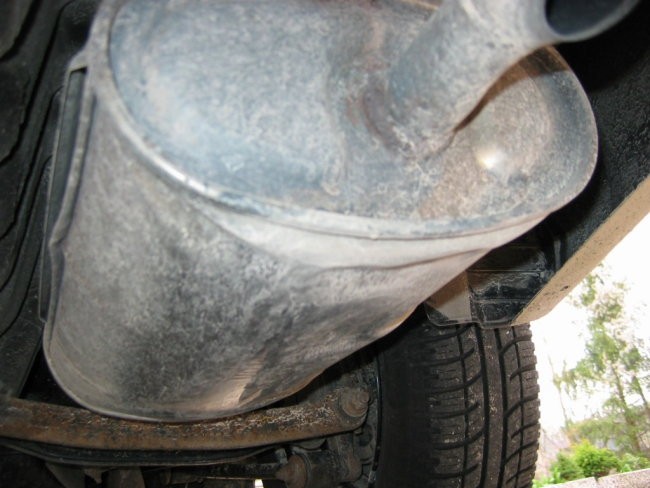 No1 - foto povečava