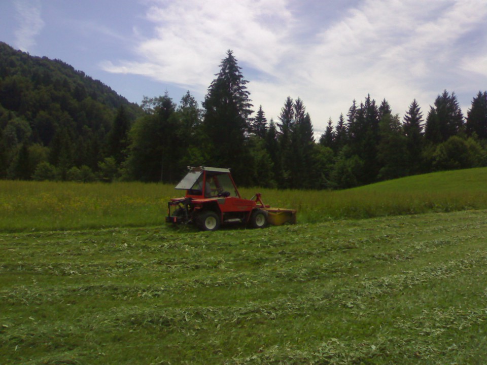 Košnja - foto povečava