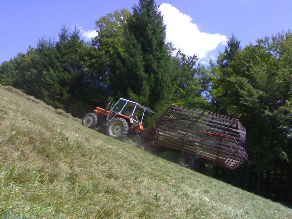 Košnja - foto povečava