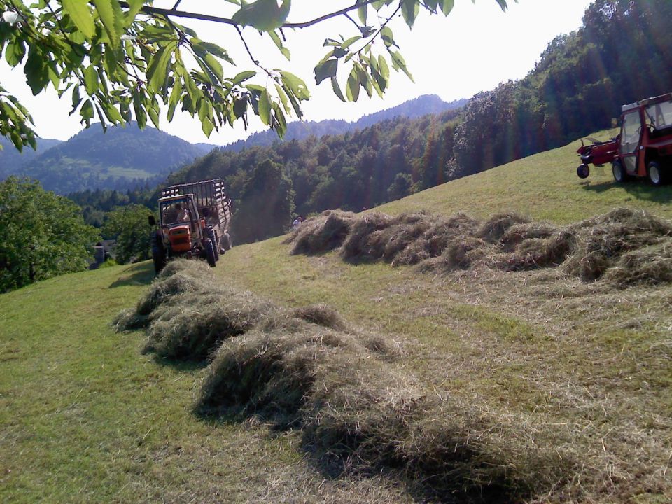 Košnja - foto povečava