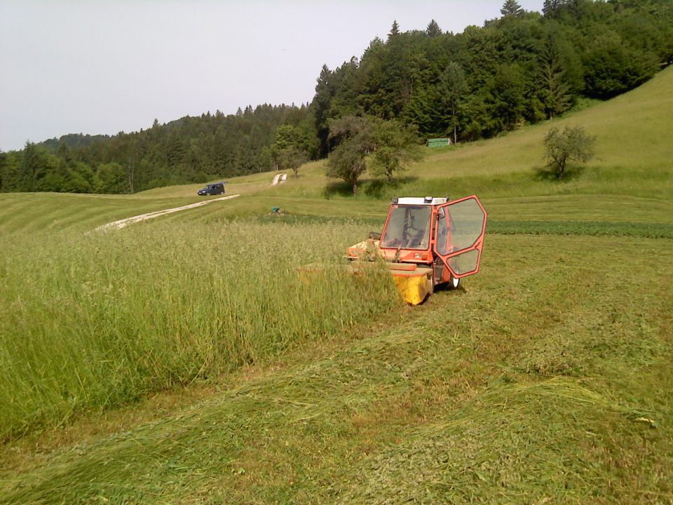 Košnja - foto povečava