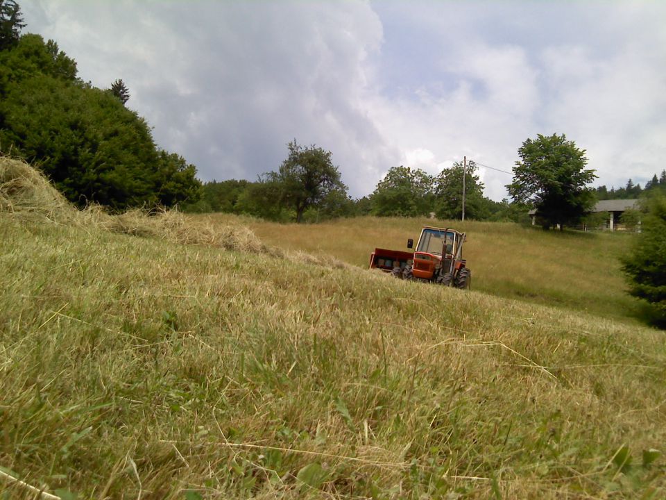 Košnja - foto povečava