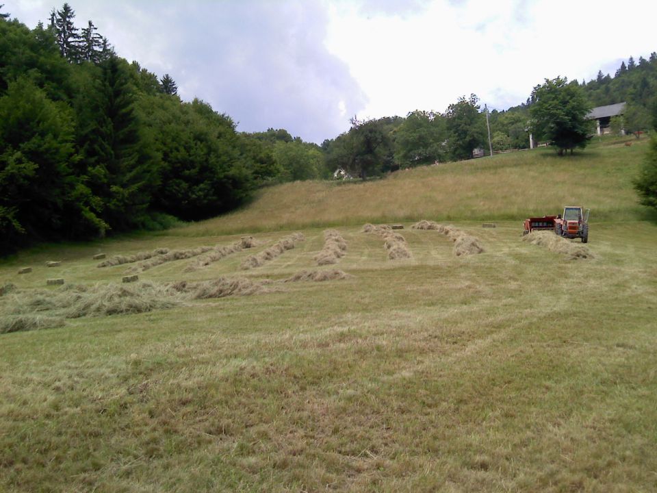 Košnja - foto povečava