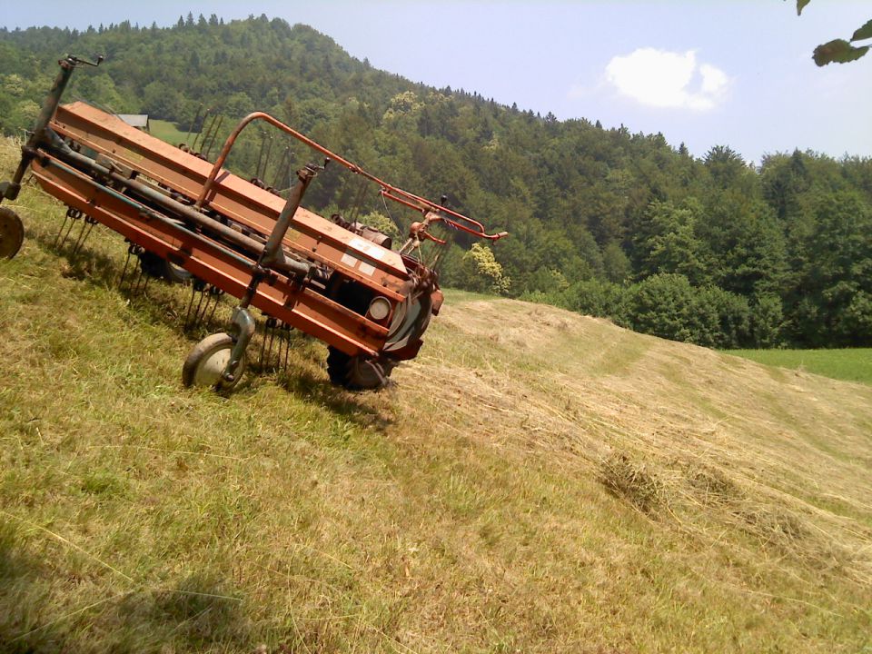 Košnja - foto povečava