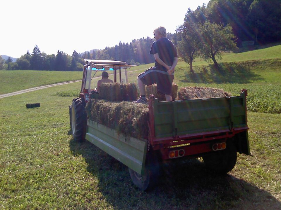 Košnja - foto povečava