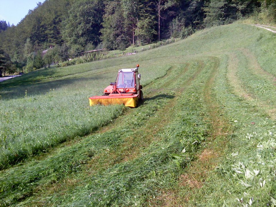 Košnja - foto povečava