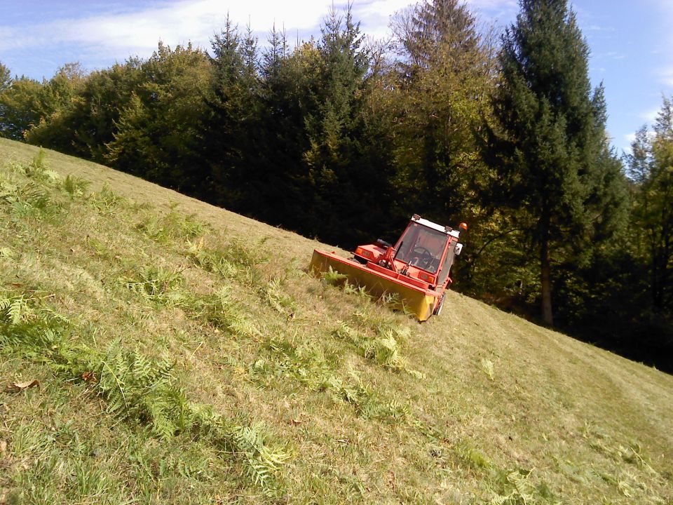 Košnja - foto povečava