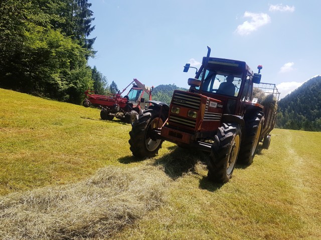 Košnja - foto