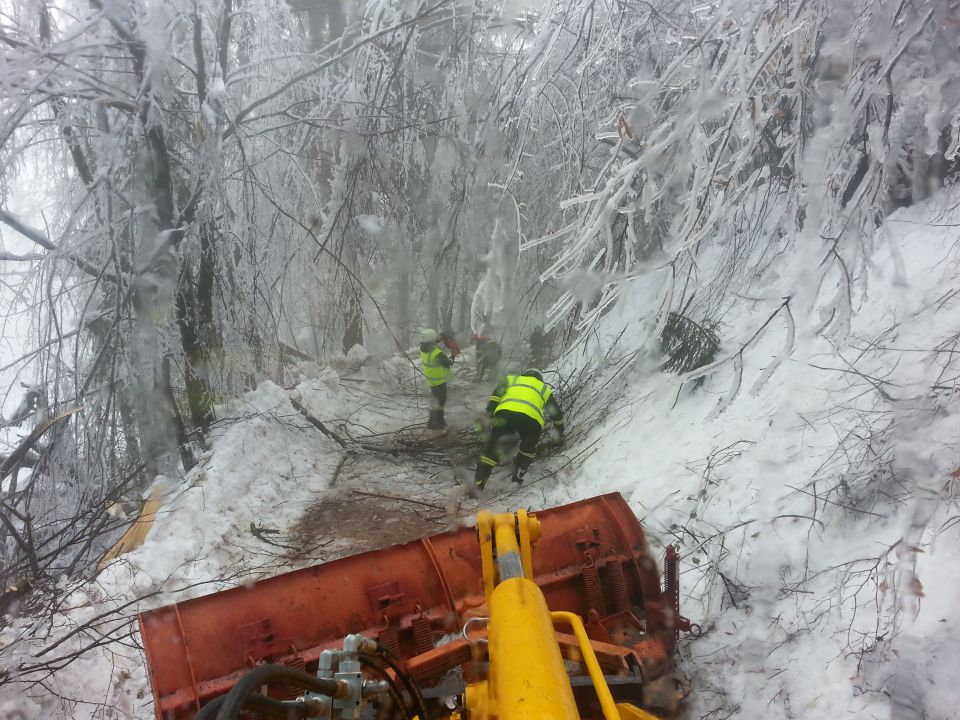 žled 2014 - foto povečava