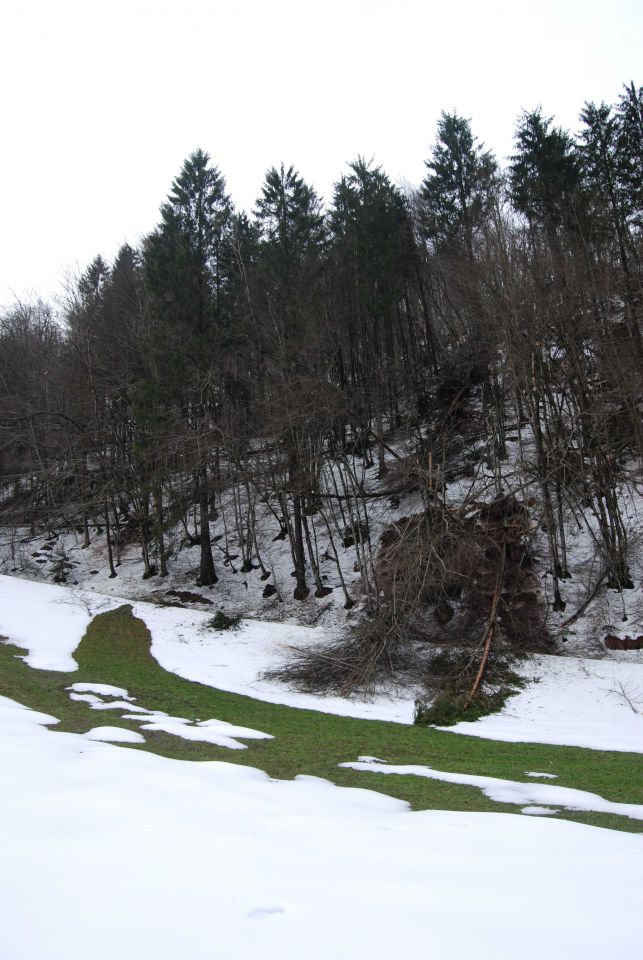 žled 2014 - foto povečava