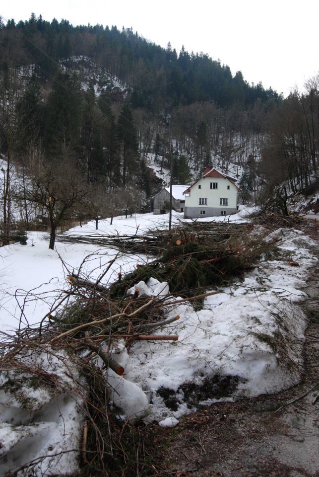 žled 2014 - foto povečava