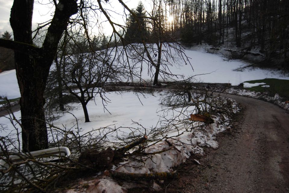 žled 2014 - foto povečava