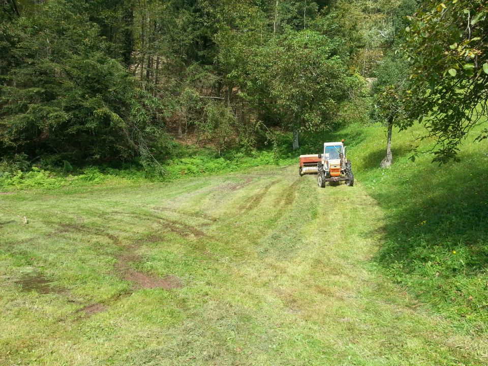 Košnja  2014 - foto povečava