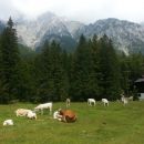 Mojsterna, Peričnik, Jasna, Bohinj, Vogel