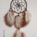 lovilec sanj  Dreamcatcher