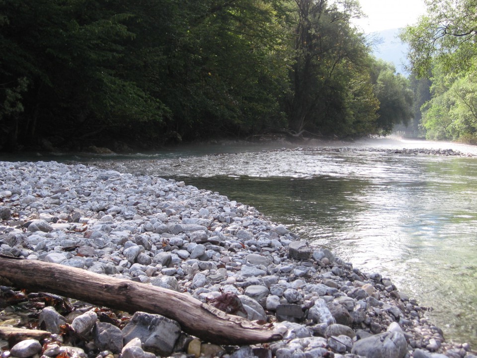 Tolminka - foto povečava