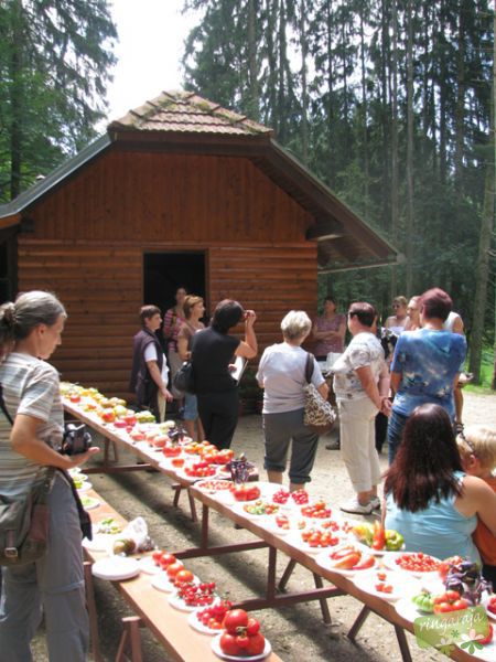 PARADAJZ FEŠTA - foto povečava