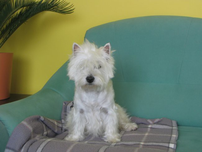 Uma in Arwen - foto povečava