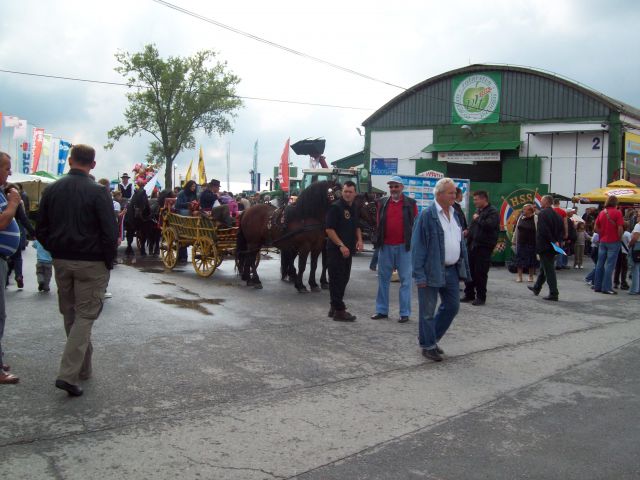 Jesen gudovac 2010 - foto